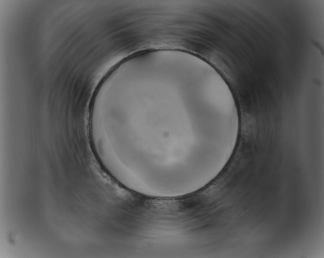 X0000102020856200807181325