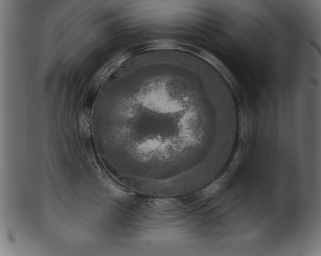 X0000102020857200807181325