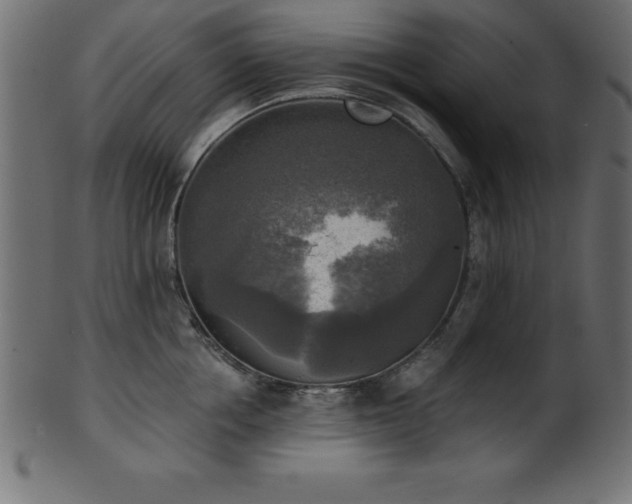 X0000102020858200807181325