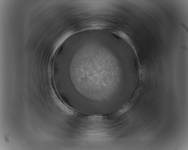 X0000102020859200807181325