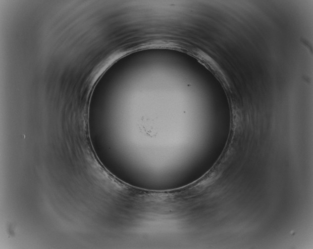 X0000102020860200807181325
