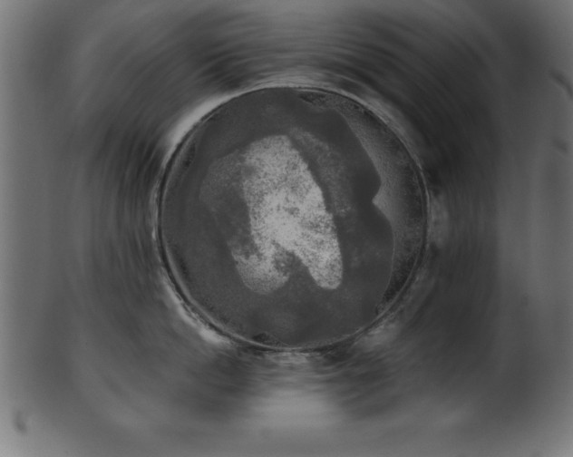 X0000102020862200807181325