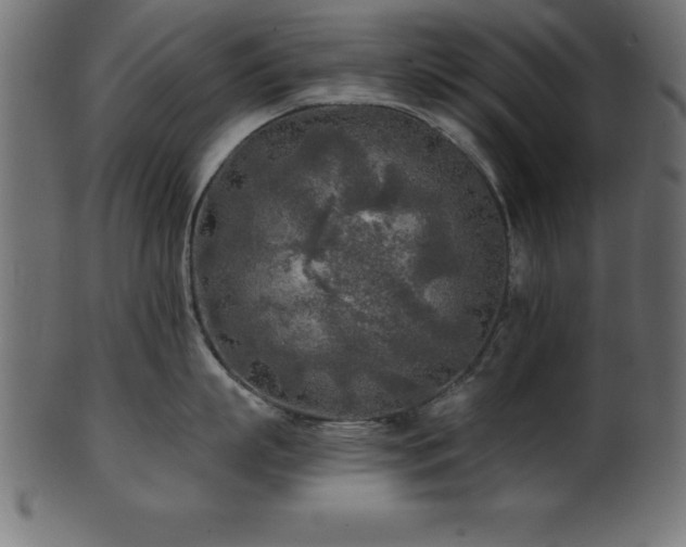 X0000102020863200807181325