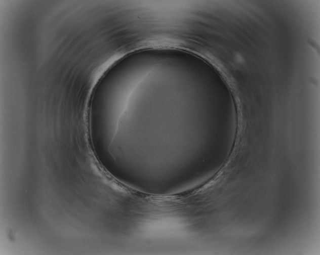 X0000102020864200807181325
