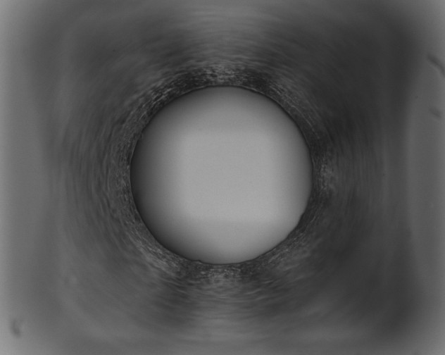 X0000102020865200807181324