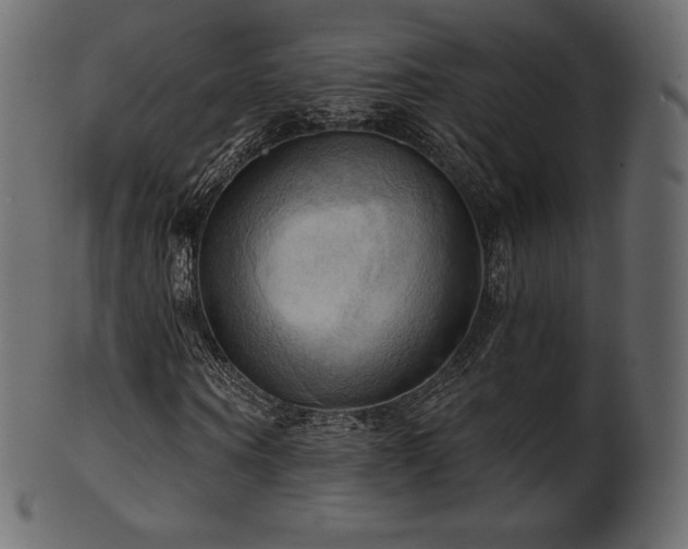 X0000102020866200807181324