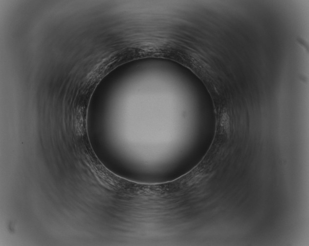X0000102020868200807181324