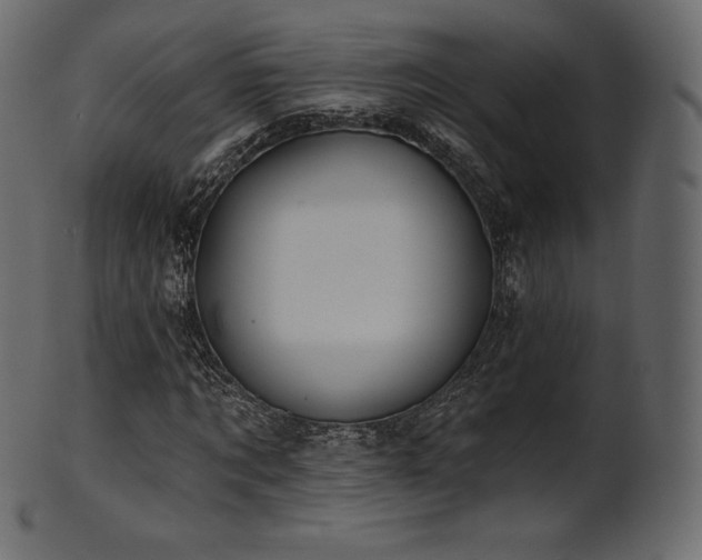 X0000102020869200807181324