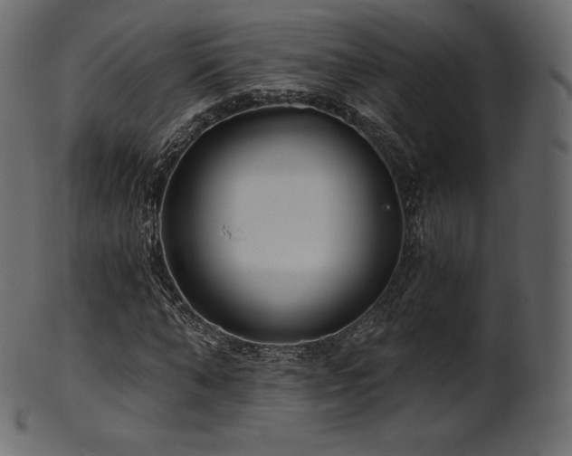 X0000102020870200807181324
