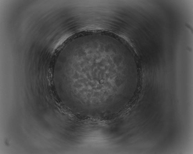 X0000102020871200807181324