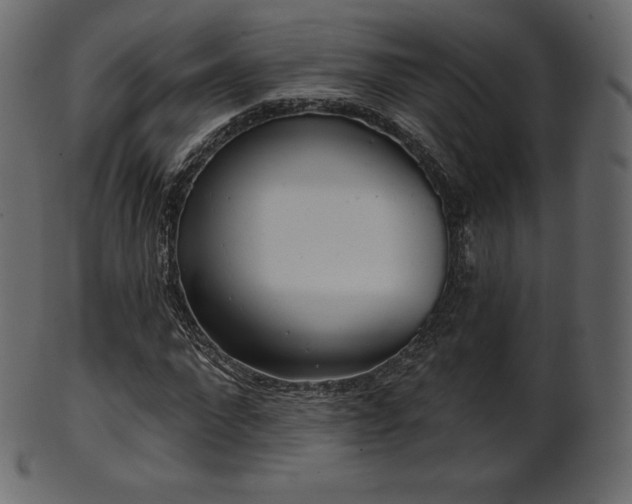 X0000102020872200807181324