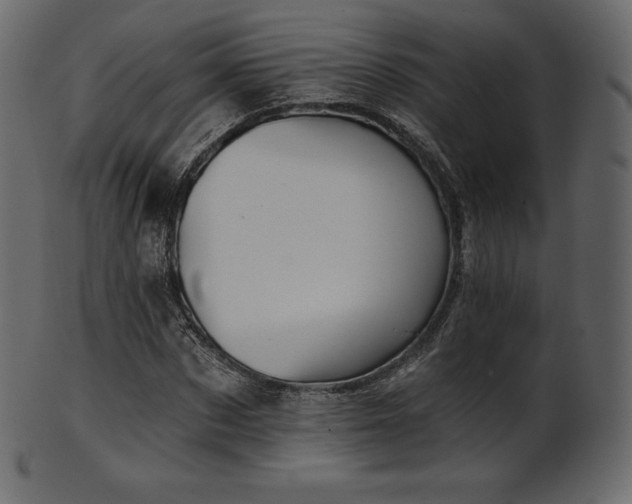 X0000102020873200807181324