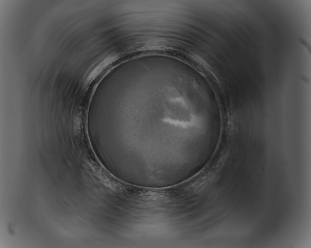 X0000102020874200807181324