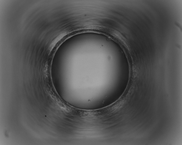 X0000102020875200807181324