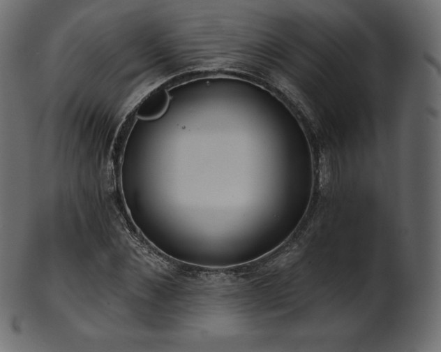 X0000102020876200807181324