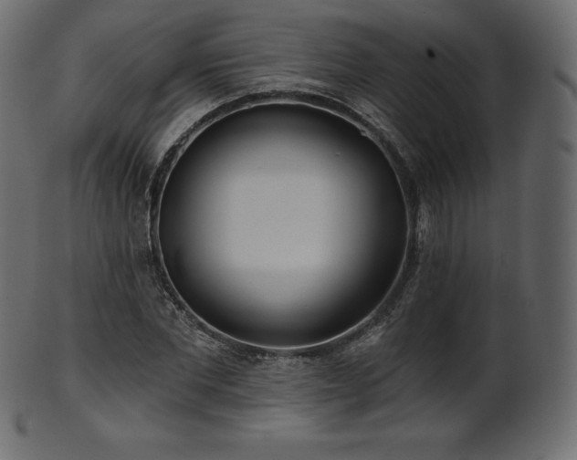 X0000102020877200807181324
