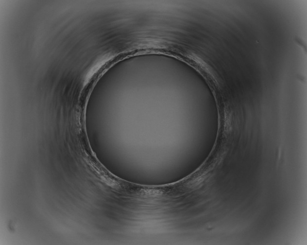 X0000102020878200807181324