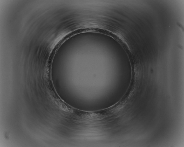 X0000102020879200807181324