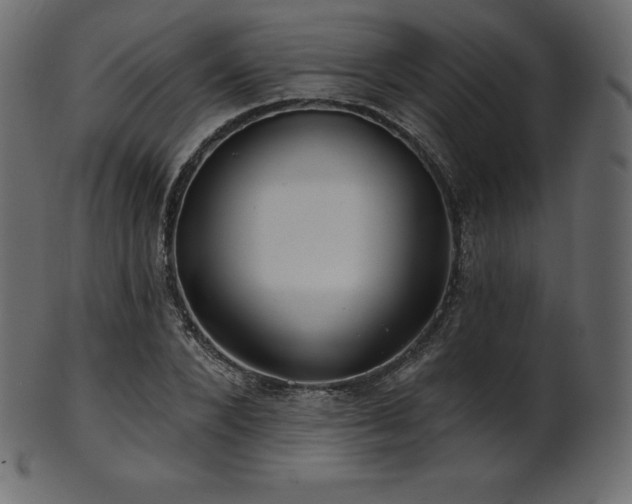 X0000102020880200807181324