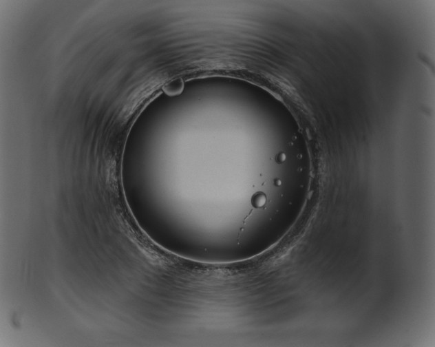 X0000102020881200807181324