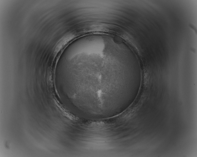 X0000102020882200807181324