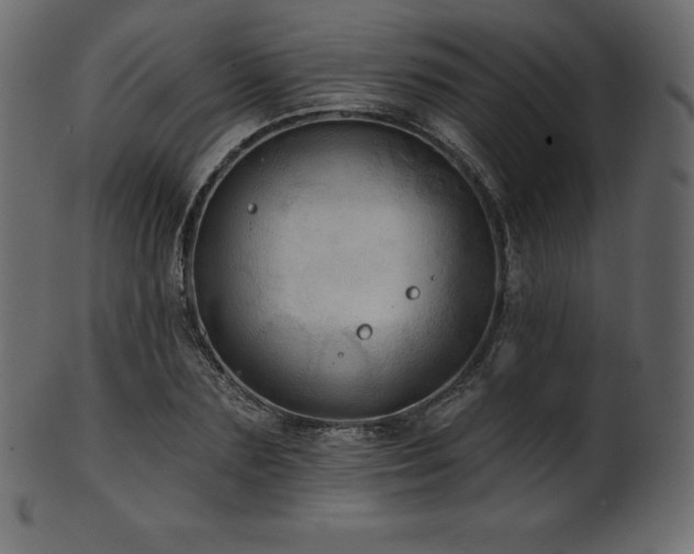 X0000102020883200807181324