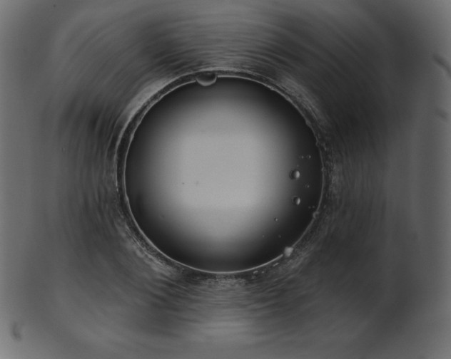 X0000102020884200807181324