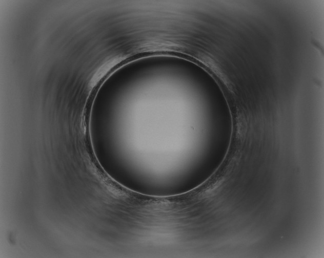 X0000102020885200807181324