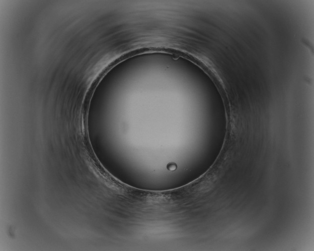 X0000102020887200807181324