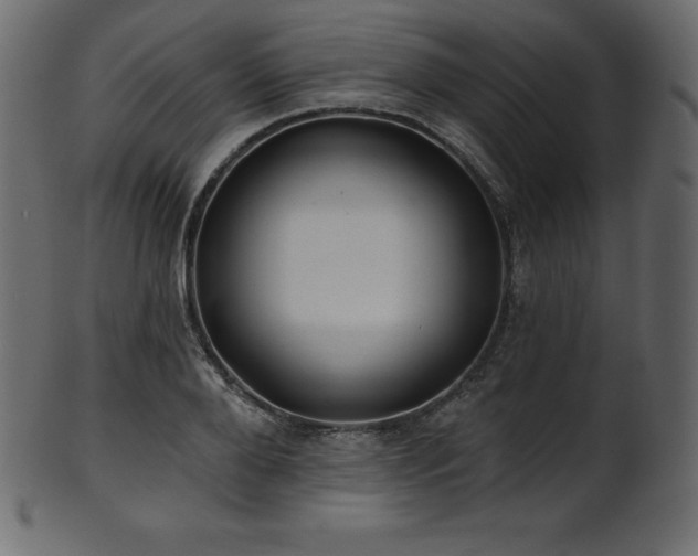 X0000102020888200807181324