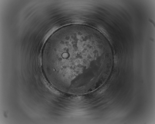 X0000102020891200807181323