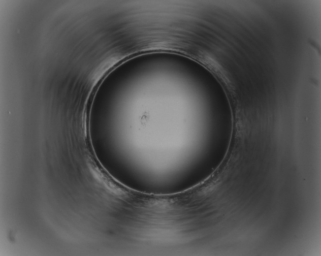 X0000102020892200807181323