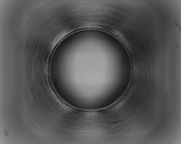 X0000102020893200807181323