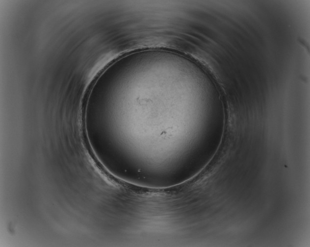 X0000102020894200807181323