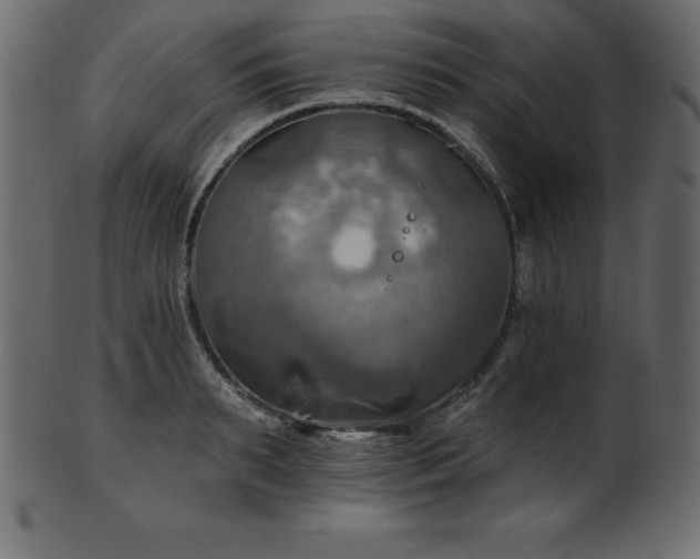 X0000102020895200807181323