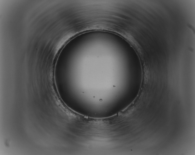X0000102020896200807181323