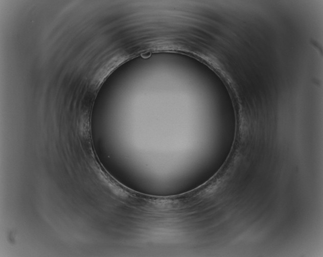 X0000102020897200807181323