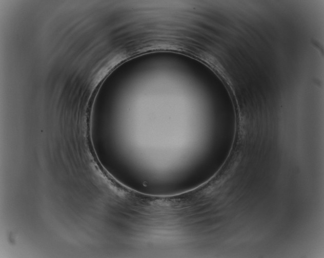 X0000102020898200807181323