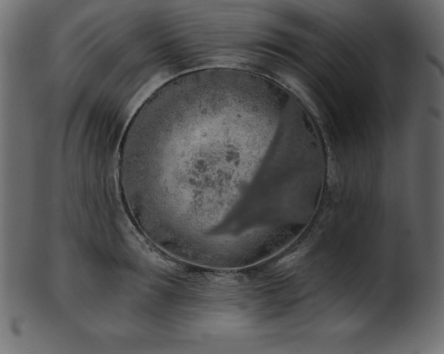X0000102020899200807181323