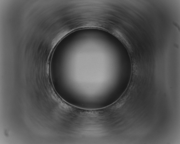 X0000102020900200807181323
