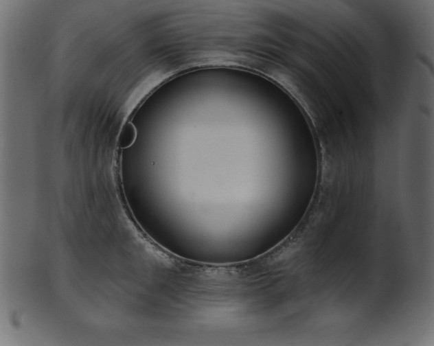 X0000102020901200807181323