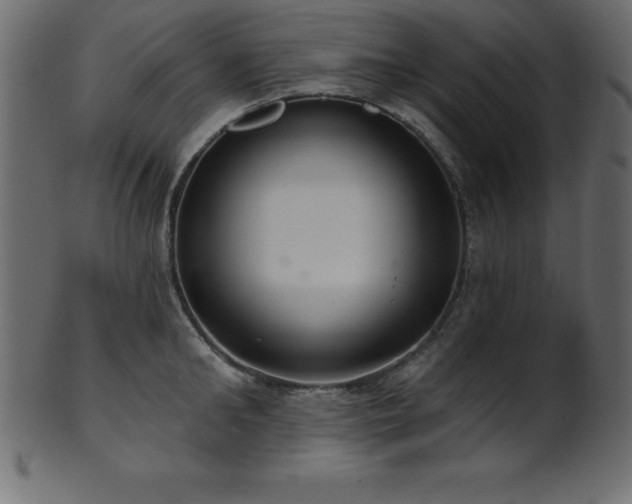 X0000102020902200807181323