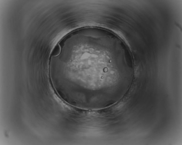 X0000102020903200807181323