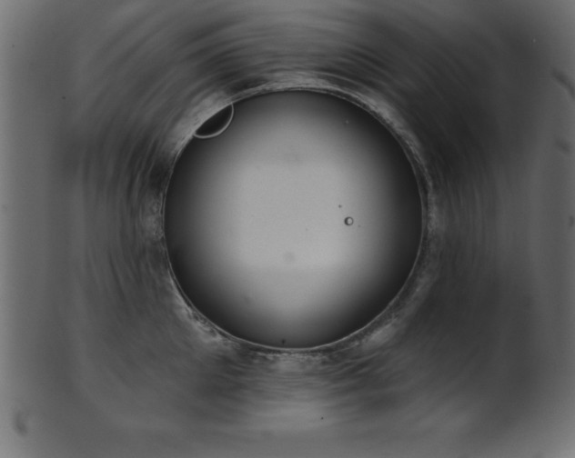 X0000102020905200807181323