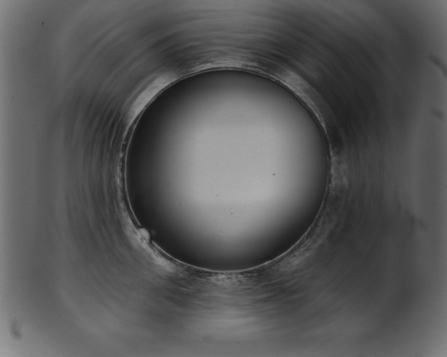 X0000102020906200807181323