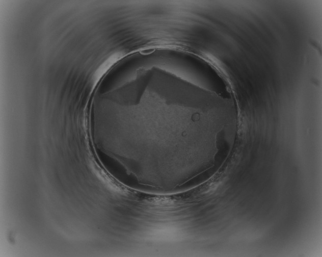 X0000102020907200807181323