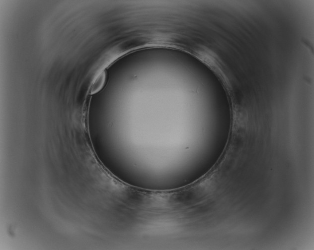 X0000102020908200807181323