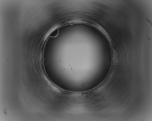 X0000102020909200807181323
