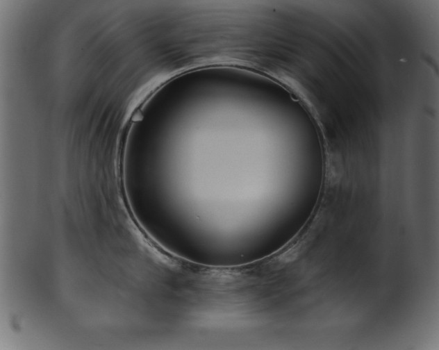 X0000102020910200807181323
