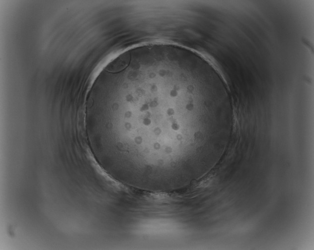 X0000102020911200807181323
